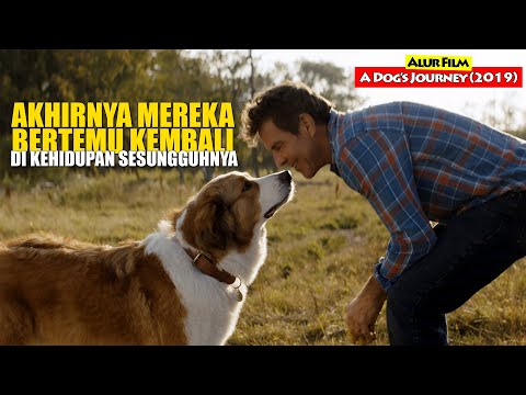 Video: Going To The Dogs: Bagaimana Rasanya Menjadi Pelatih Anjing Hollywood