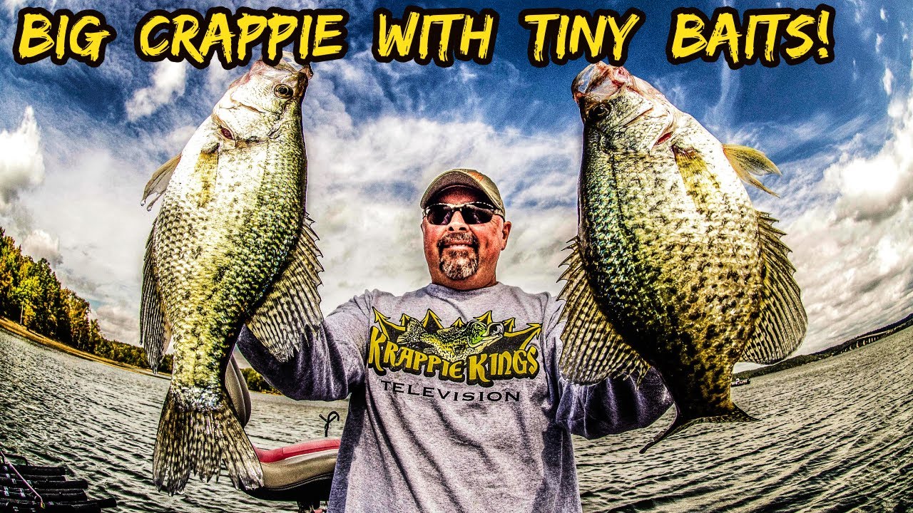 Big Baits for Big Crappie - In-Fisherman