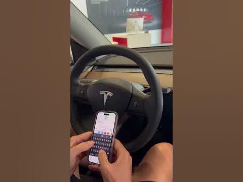 Tesla Mode Y Whoopee Cushion #fun #tesla #whoopeecushion #noise #modely