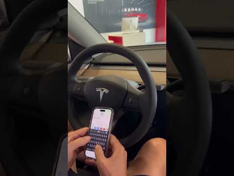 Tesla Mode Y Whoopee Cushion #fun #tesla #whoopeecushion #noise #modely #car #carfun #dealership