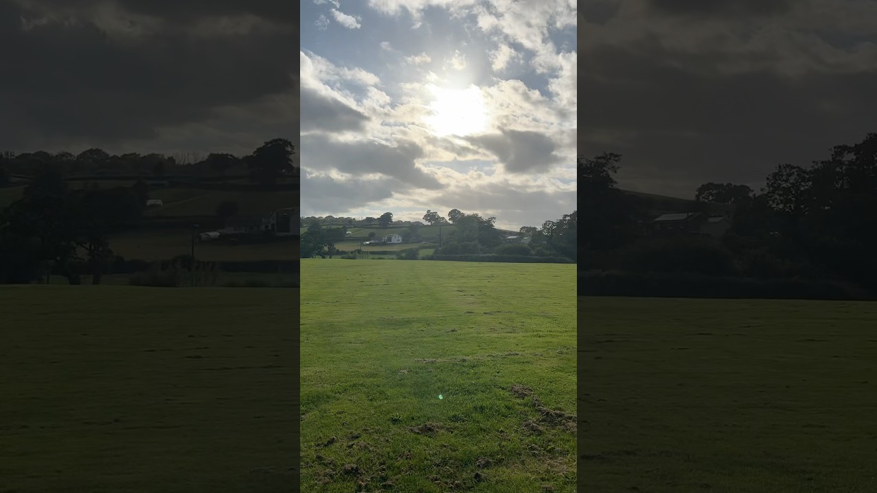 How lovely is this a dog friendly park 🐾🐶🐕 