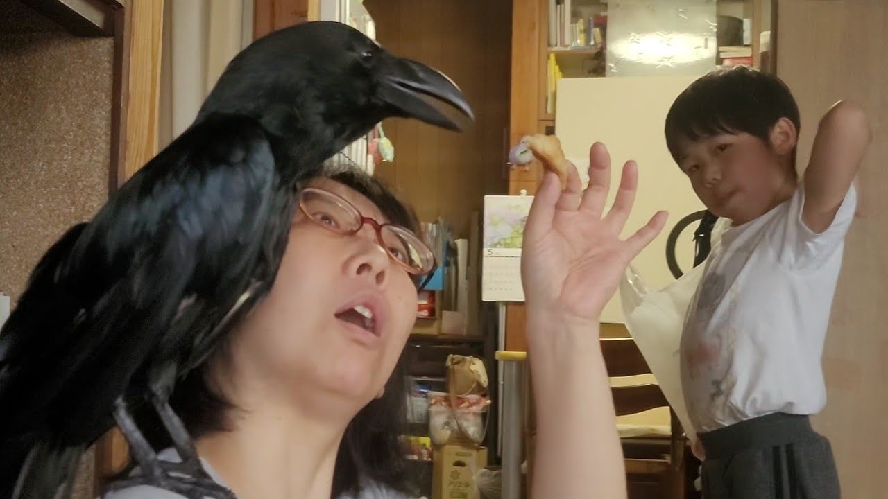 パンを貰って大好きな兄弟にあげたがるハッピー