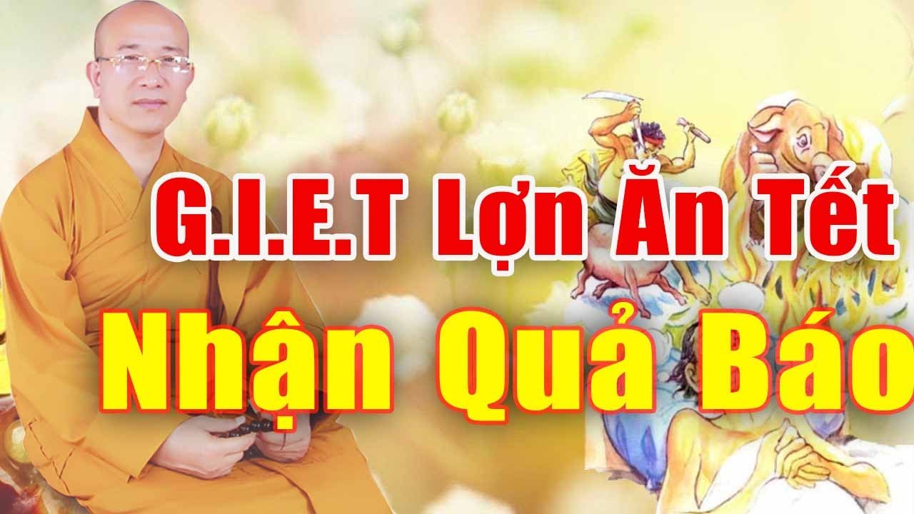 G.I.E.T Lợn Ăn Tết Nhận Phải Quả Báo Và Cách Hóa Giải Thầy Thích Trúc Thái Minh Giảng Pháp