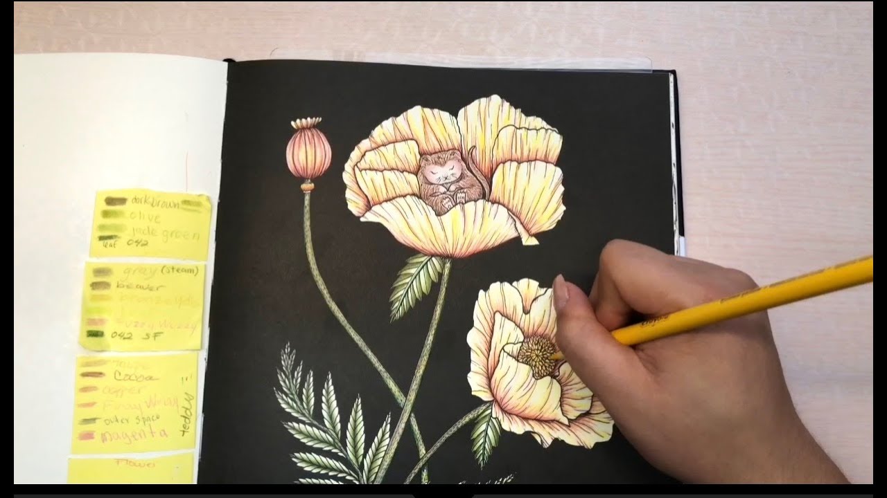 Droomreis by Maria trolle - coloring time