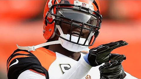 Reggie Nelson ULTIMATE 2015 Highlights
