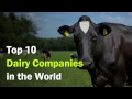 Top 10 Dairy Company in the world