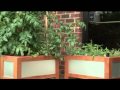Metrogro Planter by Hands-On Woodworking Metrogro Planter by Hands-On Woodworking