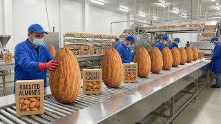 Download Lagu Inside a Giant Almond Processing Factory | How Almonds Are Cleaned, Sorted \u0026 Packed MP3
