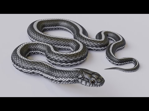 Animated Black White Snake Preview V2