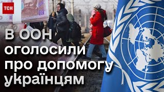 👍🌍 Дієва допомога ООН для українців! Від консультацій до грошових виплат! Як отримати?