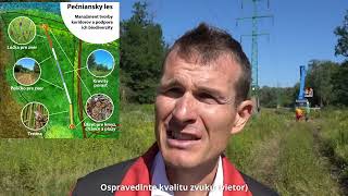 Údržba ochranného pásma VVN v Pečnianskom lese mu vráti  prírodný charakter