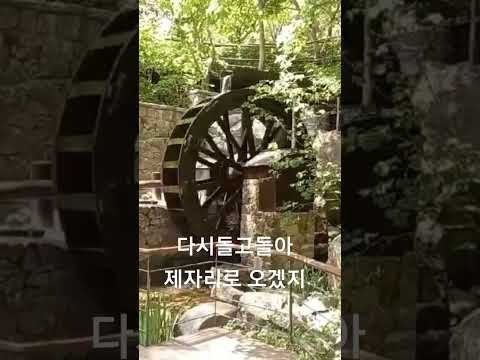 화담숲의 물레방아 Shorts