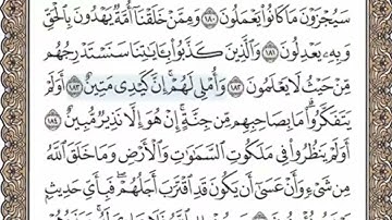 سورة الاعراف الصفحة 174 الشيخ محمد صديق المنشاوي
