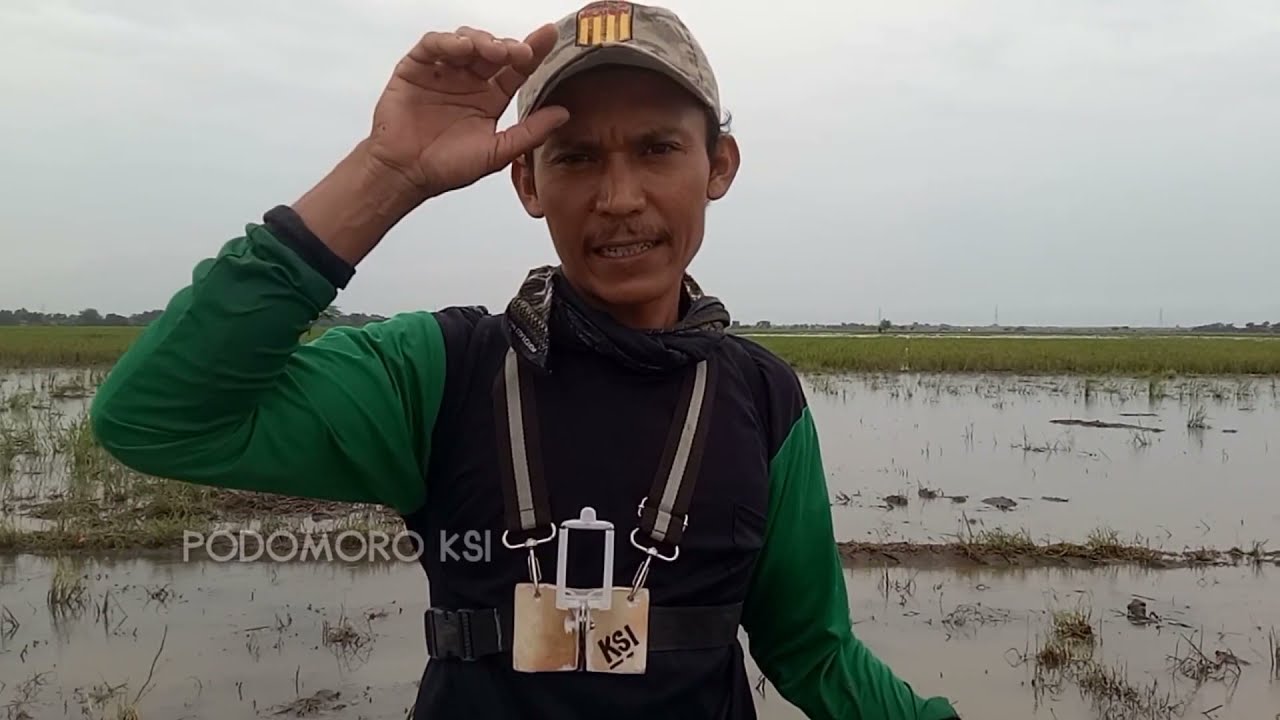 TRIK DAN CARA  NYETRUM BELUT YG AMAN