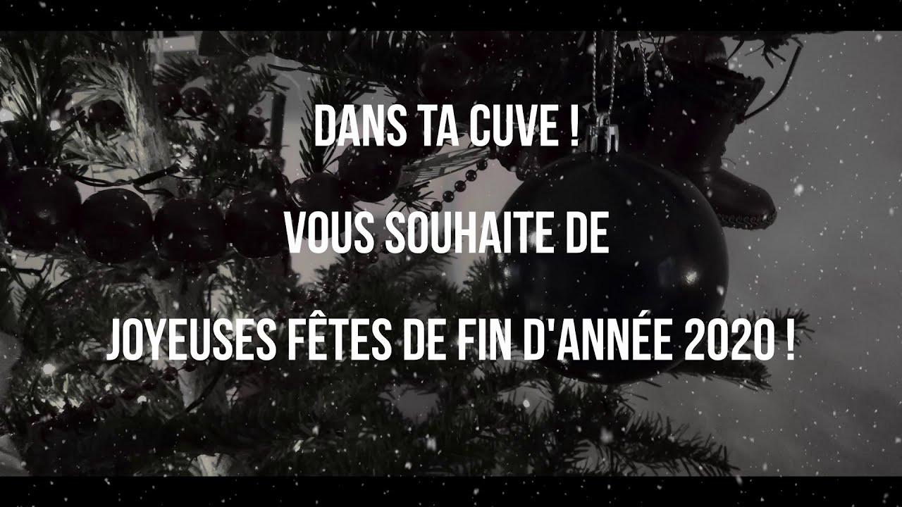 Bonnes fêtes de fin d'année 2020 - PROEVOLUTION