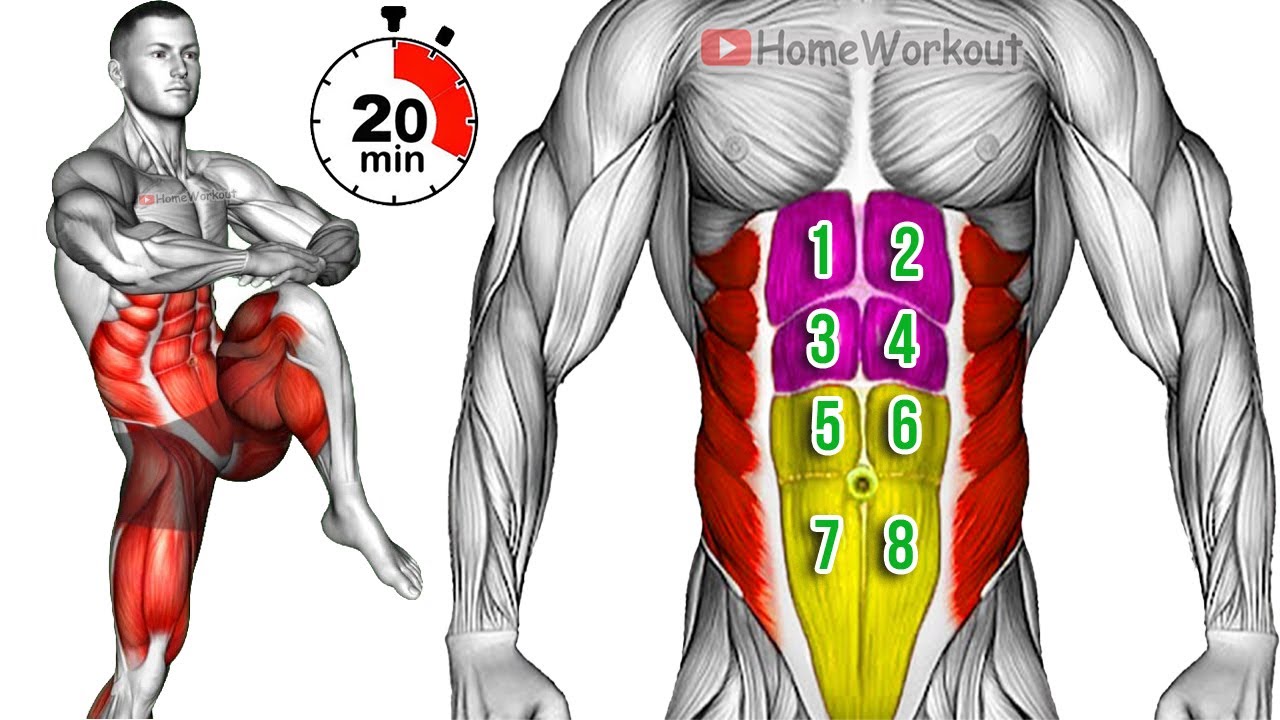 🔥 Do This Standing Abs Workout for 20-Minutes ✅ Get a Flat Belly in 7 Days