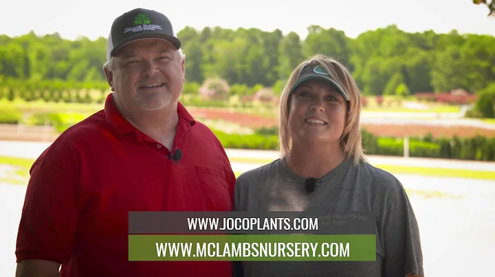 McLamb Nursery Virtual Tour