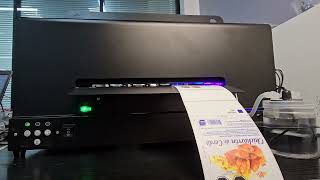 Color label printing machine without MOQ