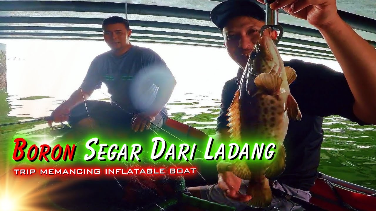 𝗠𝗮𝗻𝗰𝗶𝗻𝗴 𝗟𝗮𝗴𝗶 | 𝗚𝗮𝘀𝗮𝗸 𝗟𝗮𝗴𝗶 | 𝗚𝘂𝗹𝗮𝗶 𝗞𝗮𝗿𝗶 𝗜𝗸𝗮𝗻 𝗦𝗲𝗺𝗯𝗶𝗹𝗮𝗻𝗴 𝗣𝘂𝗹𝗮𝗸..😆