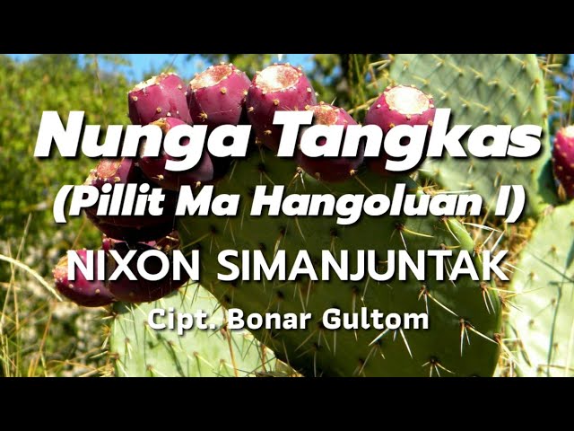 Pillitma Hangoluan I - Nixon Simanjutak (Lagu Rohani) class=