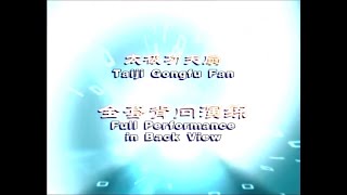 Tai Chi Taiji Kung Fu Fan - Rear View By Zoke Culture