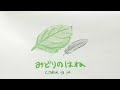 [홈레코딩/가사] 坂本真綾 - みどりのはね (Midori no Hane/초록날개) cover by sh
