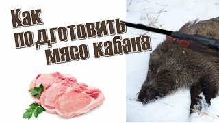 Как подготовить мясо кабана? Обучающее видео. Как подготовить мясо кабана? Обучающее видео.