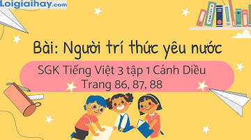 Bài: Người trí thức yêu nước trang 86, 87, 88 SGK Tiếng Việt 3 tập 1 Cánh diều