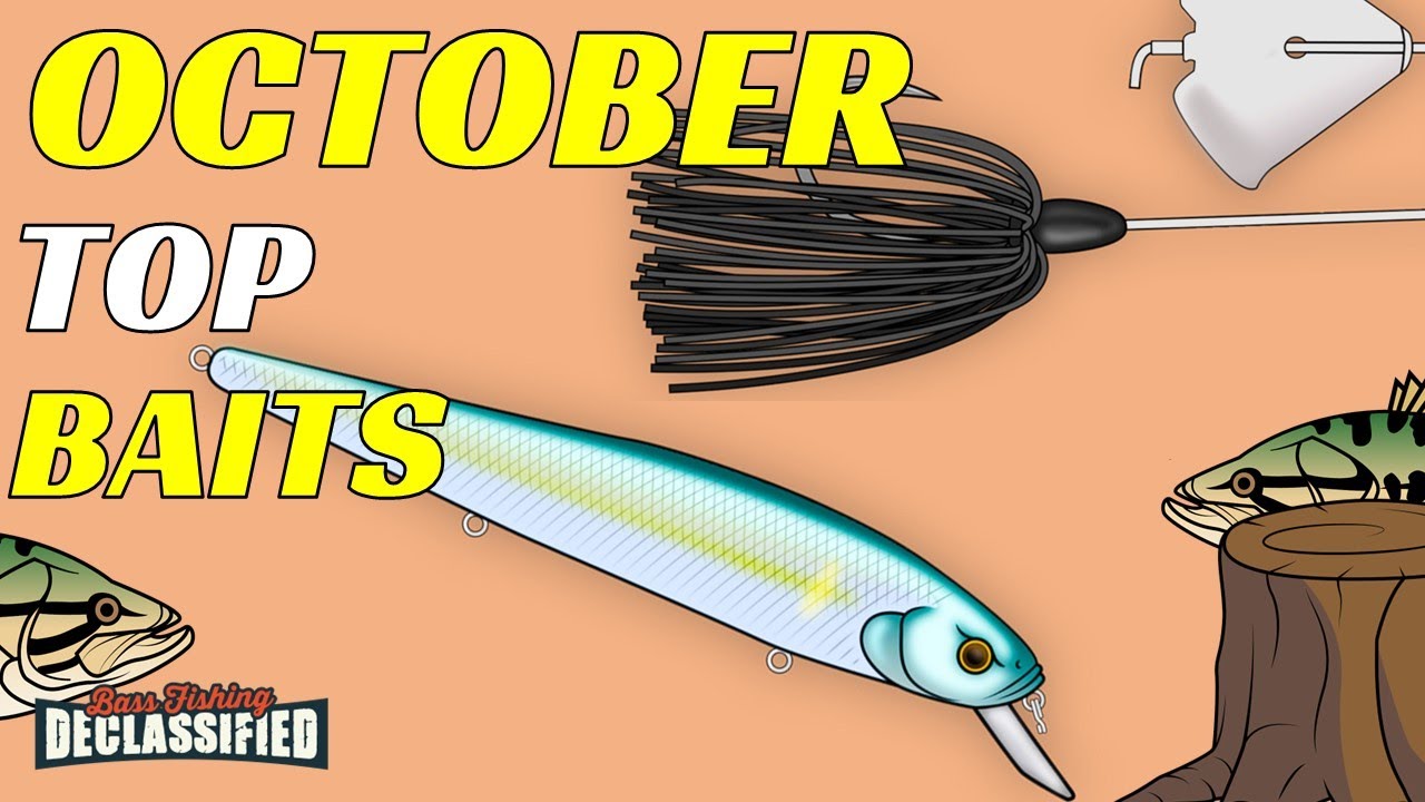 The TOP BAITS For Bass Fishing in October YouTube