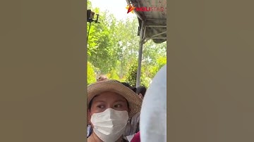 Người dân vây kín Hồng Loan trong đám 100 ngày của cố NSƯT Vũ Linh | Moli Star #shorts