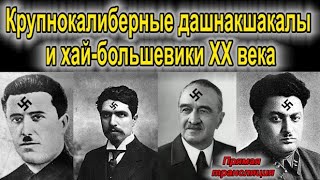 Крупнокалиберные дашнакшакалы и хай-большевики ХХ века - Актуальная тема с Мехманом Исмаиловым
