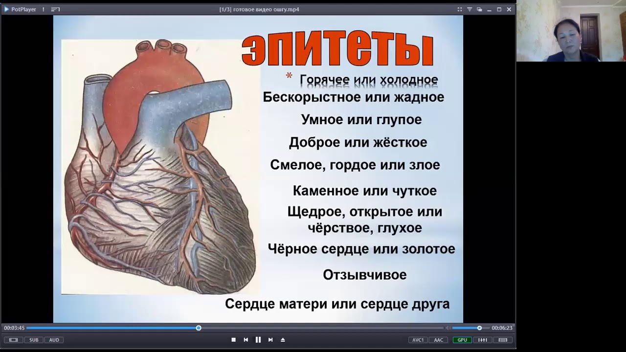 Сердце человека литература. Сообщение о сердце. Bynthtcyfzbyajhvfwbz jcthlwt. Доклад про сердце.