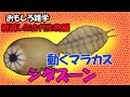 おもしろ雑学（音声入り）　絶滅した古代生物編③　シダズーン 【 こたっちゃんねる】