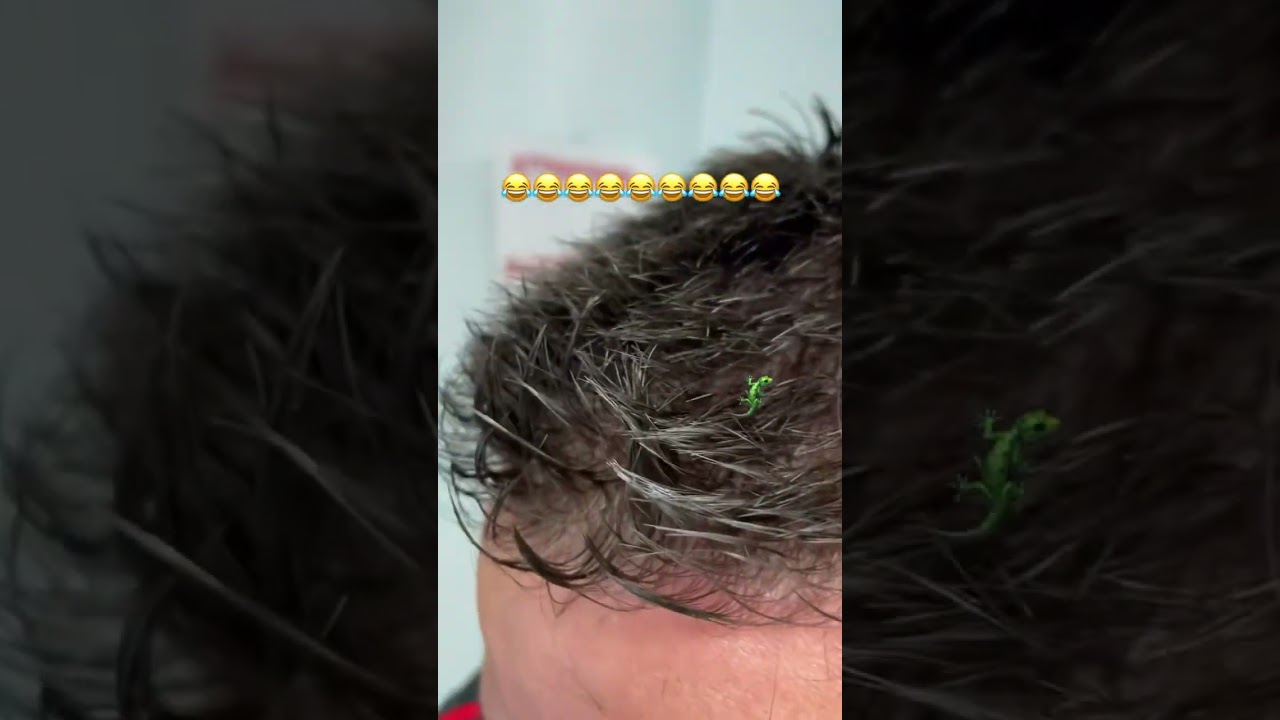 CAPELLI INTELLIGENTI  3T IONIX  SONO IMPRESSIONANTI  🙉🙉🙉🙉🔥🔥🔥🚀🚀🚀