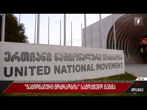 „ნაციონალური მოძრაობის“ სამოქმედო გეგმა - გამოხმაურება