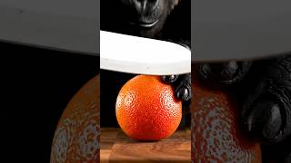 Mr. Gogo Cuts Blood Orange Ultra-Realistic Asmr