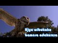 Ubigenza ute? (Video lyrics)