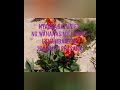 June 7 2025 June 7 2025