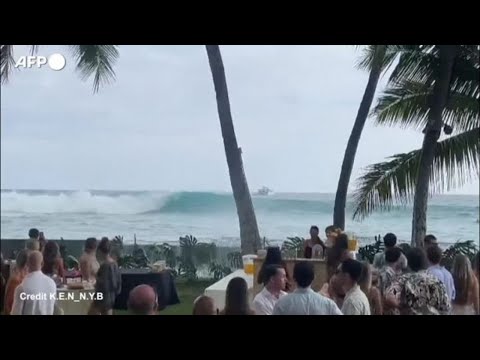 Hawaii, ricevimento di un matrimonio sul mare ma arriva un'onda...