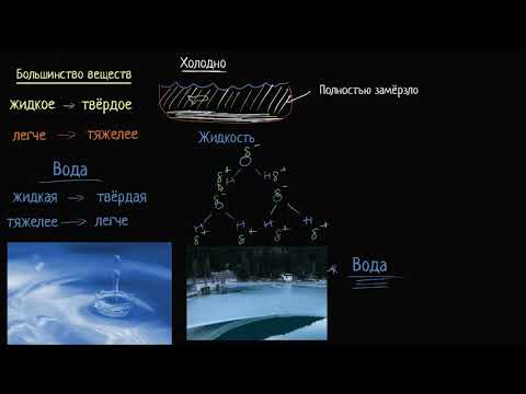 Почему лёд не тонет в воде? (видео 7)| Биологическая роль воды | Биология