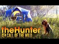 Симулятор охотника с ищейкой - The Hunter: Call of the Wild - Bloodhound (стрим) #44