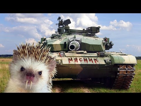 видео: Зло не пройдёт ? War Thunder