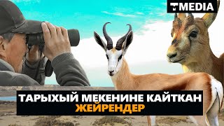 ТАРЫХЫЙ МЕКЕНИНЕ КАЙТКАН ЖЕЙРЕНДЕР