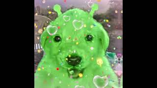 Gog Sing Goo Goo Dolls - Iris