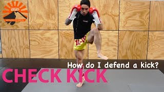 Muay Thai Essentials - Check Kick Defence