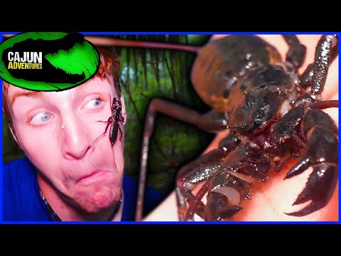 FREAKY RARE Florida Creature! - The Florida Vinegaroon! (ft. @WILD FL)