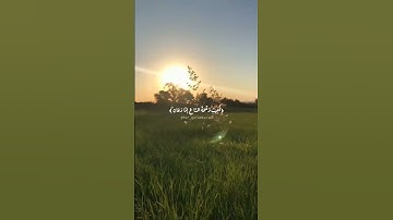 حالات واتس قران|مشاري العفاسي سورة البقرة|وإذا سألك عبادي عني فإني قريب