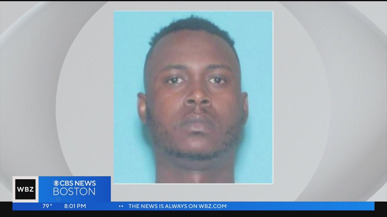 Suspect wanted in deadly Boston hit and run surrenders - YouTube