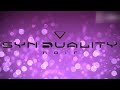 Synduality Noir OST - RAYTRACER Instrumental