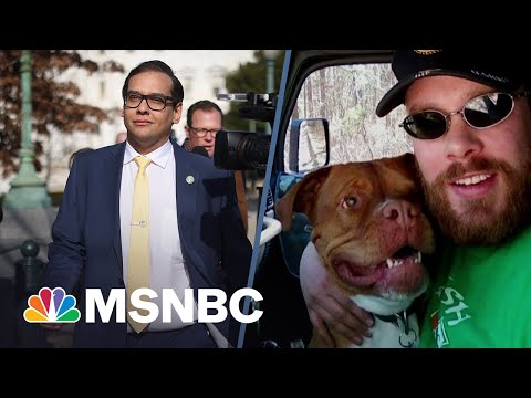 George Santos took $3K from dying dog's GoFundMe says disabled veteran